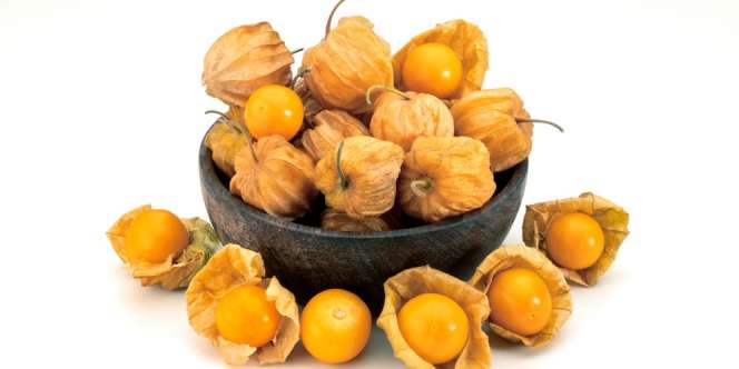 Hidup Liar, Ini Dia 5 Manfaat Buah Ciplukan untuk Kesehatan