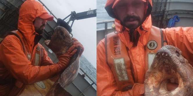 Nelayan Syok Tangkap Ikan Misterius Berbentuk Aneh, Rahang Bisa Remukkan Mangsa