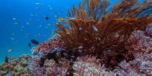 Genjot Pariwisata Sulsel, Sandiaga Kembangkan Travel Pattern