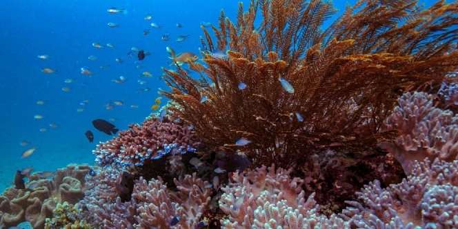 Genjot Pariwisata Sulsel, Sandiaga Kembangkan Travel Pattern