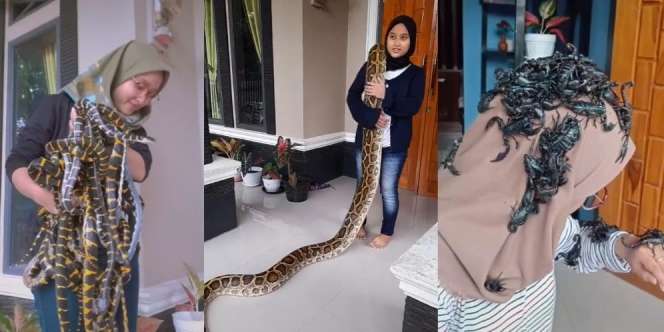 Gadis Berjilbab Main Puluhan Ular, Netizen: Kaya Angkat Jemuran Saja