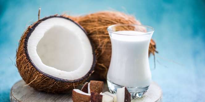 Inovasi dalam Santan Kemasan yang Lebih Tahan Lama