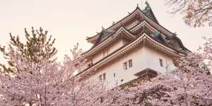 Berkunjung ke Prefektur Wakayama, Destinasi Wisata Berkelanjutan di Jepang