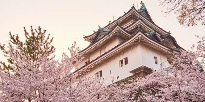 Berkunjung ke Prefektur Wakayama, Destinasi Wisata Berkelanjutan di Jepang