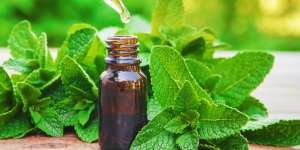Manfaat Peppermint untuk Kesehatan Tubuh, Kulit dan Rambut