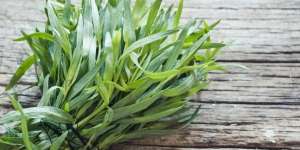 Tarragon, Rempah Aromatik Andalan Hidangan Tradisional Prancis