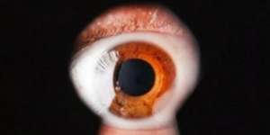 Kisah Pemuda Mengintip Wanita Mandi yang Berbuah Surga