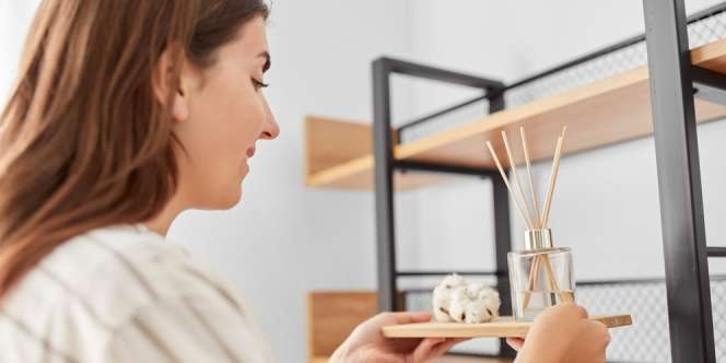 Pilihan Reed Diffuser Lokal di Bawah Rp250 Ribu