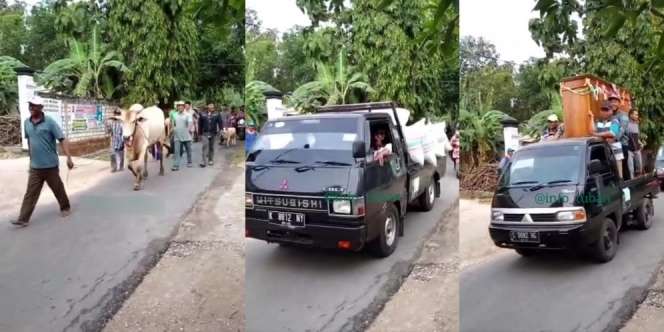 'Sultan' Tuban Nikah, Bawa Seserahan Sapi, Kambing, 7 Pickup Gabah dan Perabotan