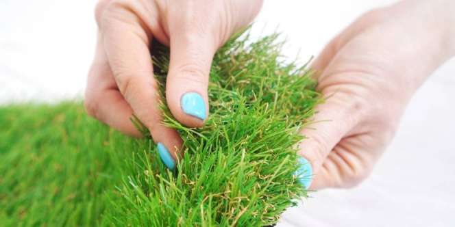 4 Kelebihan Memasang Rumput Sintetis di Rumah