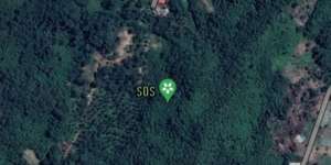 Viral Kemunculan Tanda SOS di Samarinda pada Google Maps, Ini Temuan Basarnas