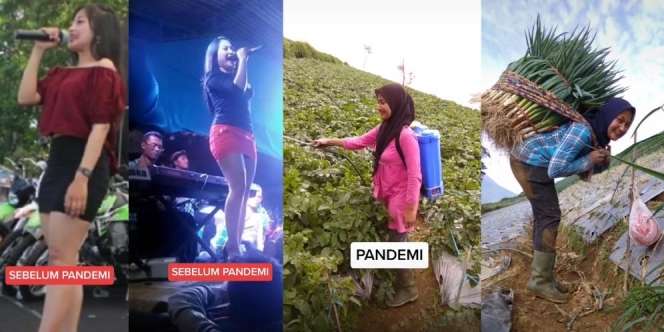 Kisah Biduan Sebelum Pandemi Pakai Rok Mini, Kini Berhijab dan Jadi Petani