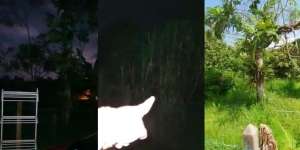 Malam-malam Duduk di Ayunan Dilempar Batu, si Cewek Tantang Makhluknya Keluar