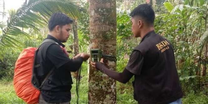 Geger Makhluk Misterius di Sumbar: Ukuran Besar, Berbulu Lebat, dan Berbau Busuk
