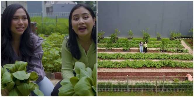 Hobi Cocok Tanam, Lihat 10 Potret Kebun Pribadi Prilly Latuconsina