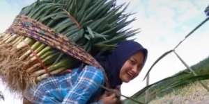 5 Pesona Novi Listiana, Eks Biduan Kini Hijrah Jadi Petani