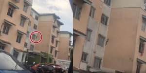 Heboh Penampakan Ular Hitam Berukuran Besar Merayap di Dinding Apartemen