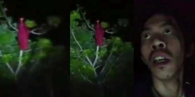 Ketemu Kuntilanak Merah di Atas Pohon, Si Cowok Diminta Jaga Jarak