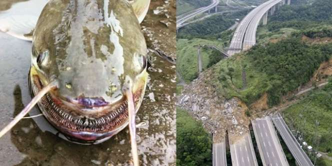 Lihat Fotonya Saja Bikin Bergidik, Apalagi Mengalami Sendiri