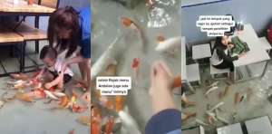 Unik Banget, Rumah Makan Berkonsep Kolam Koi, Bisa Makan Sambil Ditemani Ikan