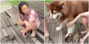Apes! Tak Sengaja Anak Anjing Terinjak, Refleks Si Majikan Auto Bikin Nyesel