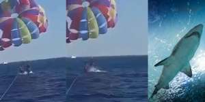 Video Detik-Detik Mengerikan Kaki Pria Diterkam Ikan Hiu Saat Paragliding