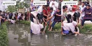 Viral Emak-Emak Maju Terdepan Tangkap Sanca di Selokan, 6 Lelaki di Belakangnya