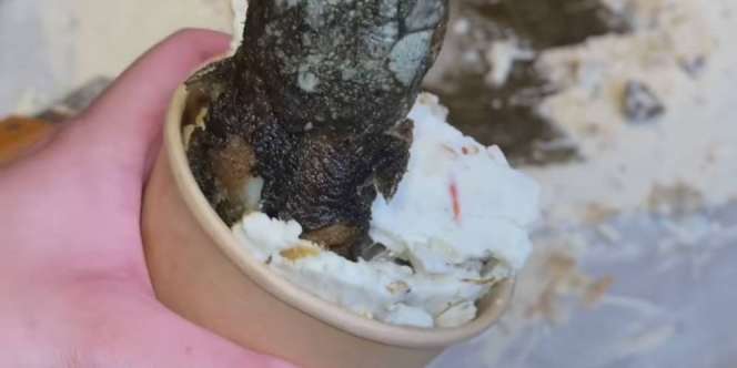 Kreasi Baru dari Sisca Kohl, Es Krim Pecel Lele 'Check'