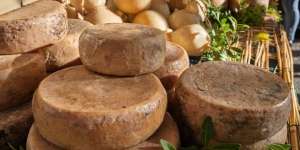 Casu Marzu, Keju Penuh Belatung Paling Berbahaya di Dunia