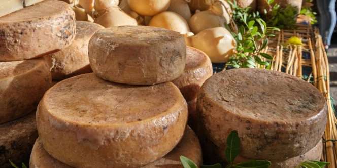 Casu Marzu, Keju Penuh Belatung Paling Berbahaya di Dunia