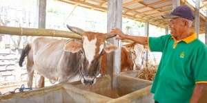 Rayakan Idul Adha saat PPKM Darurat dengan 'Qurban From Home'