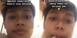 Minta Dibelikan Susu Beruang Saat Isolasi, yang Datang Malah 'Beruang Imut'