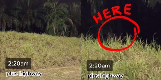 Tengah Malam Antar Paket Dekat Kuburan, Bertemu Gadis Berdiri Kaku Sambil Nangis