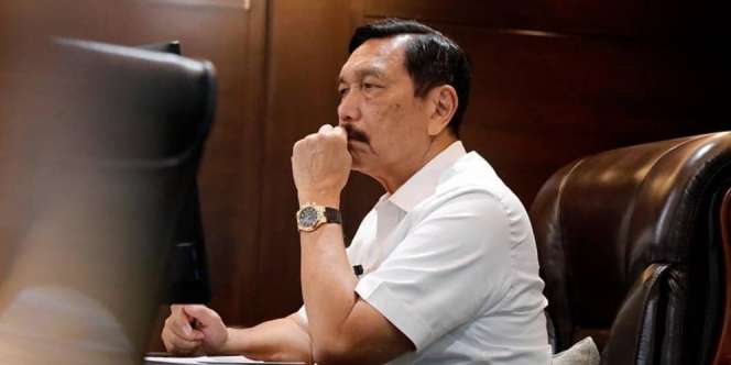Luhut Sebut Varian Delta Kurangi Efikasi Semua Jenis Vaksin