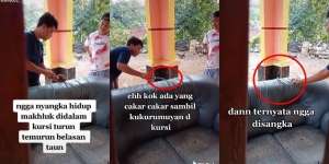 Ada yang Cakar-Cakar di Dalam Sofa, Saat Dibuka Tak Disangka Ada Makhluk Ini