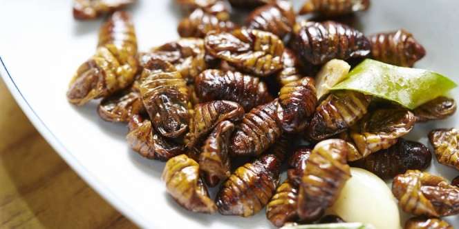 Beondegi, Ulat Panggang Khas Korea Kaya Gizi