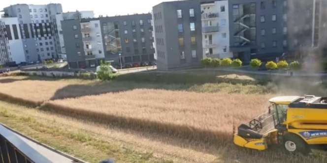 Tolak Jual Tanah, Ladang Petani Ini Malah Bikin Apartemen Punya Suasana Desa