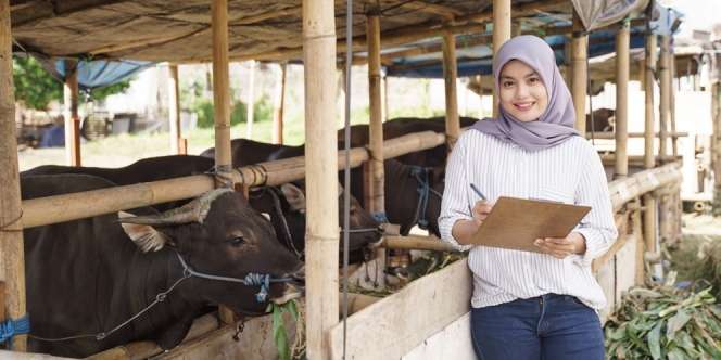 7 Perbedaan Siginfikan dari Kurban dan Aqiqah, Jangan Sampai Tertukar Ya!