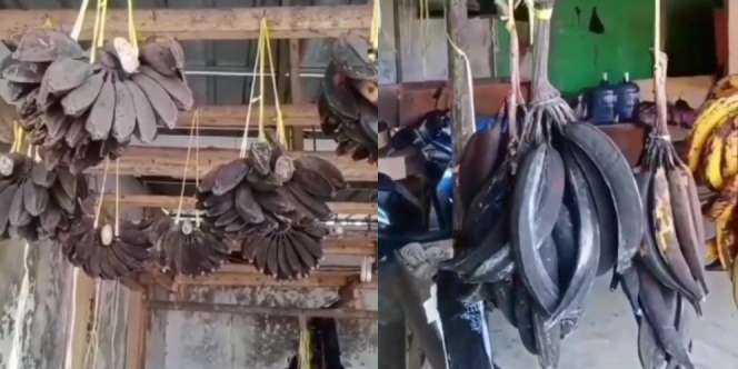 Viral Pisang Dagangan Membusuk, Disebut Dampak PPKM Darurat