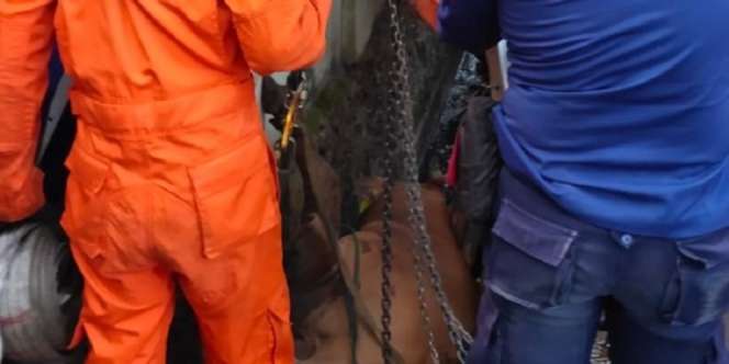 Terperosok Parit, Sapi Kurban Ini Harus Diangkat Pakai Katrol