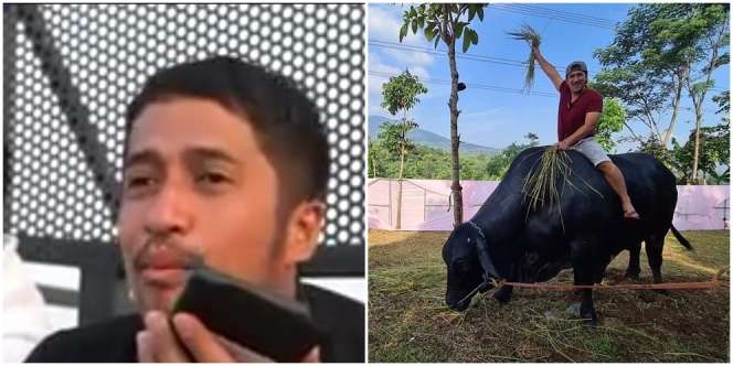 Sapi Grandong yang Jadi Rebutan Artis dan Youtuber