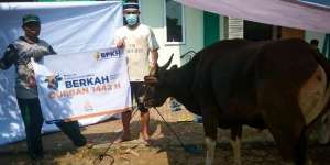 Berkah Kurban 1000 Sapi ke Pelosok Negeri