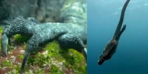 Punya Cakar Tajam dan Wajah Seram, Makhluk Diduga Anak Godzilla, Ternyata..