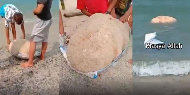 Viral Pembuktian Batu Ajaib di Sulteng Seberat 100 Kg Tetap Bisa Mengapung