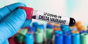 Kabar Melegakan Temuan Terbaru Dugaan Varian Delta Plus di Indonesia