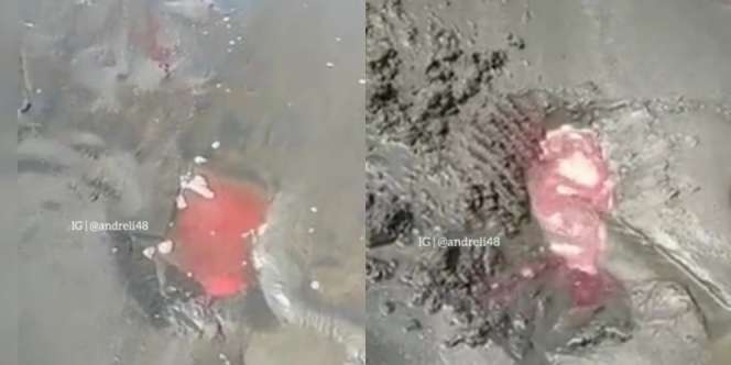 Heboh Pantai di Banyuwangi Keluarkan 'Darah'