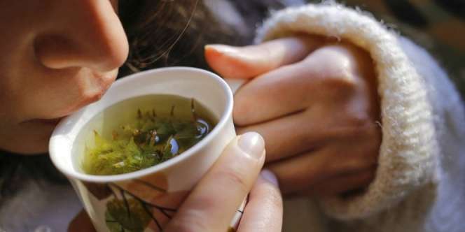 Layak Dicoba, Redakan Level Stres dengan Teh Herbal Nikmat