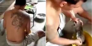 Pria Sangar Bertato Garang di Depan Teman, Diomeli Istri Langsung Tertunduk Lesu