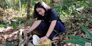 Berburu di Hutan, Potret Kecantikan Gadis Dayak Ini Disorot