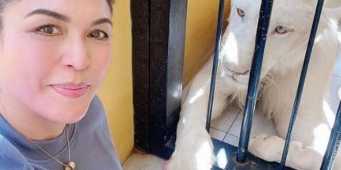 Video Istri Ketua MPR Mandikan Singa, Ekspresi Santai Kayak Mainin Kucing Rumah